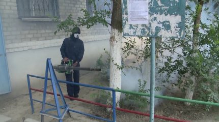 Атырауда масаға таланған балалар саны күрт  көбейіп кетті