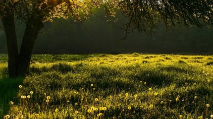 Тепло по всей территории Казахстана установится 5 июня