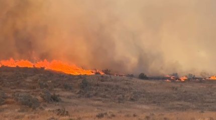 Площадь крупного лесного пожара увеличилась в Жамбылской области