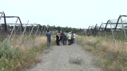 Жамбылда жұрт интенсивті бақша егіп қаржыға қарық боламыз деп қарызға батқан