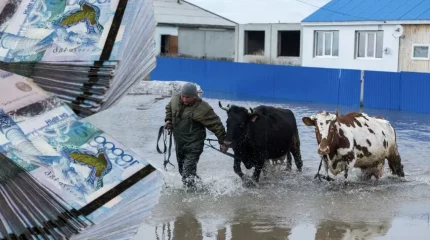 Су тасқынынан қырылған мал шығыны 100% өтелді
