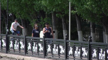 Астана қаласында маса мен шіркей қаптады