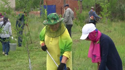 Қазақстандықтар «Таза бейсенбі» акциясына атсалысты