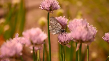 О погоде на выходных рассказали синоптики