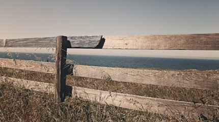 Границу с Китаем закроют 10 июня