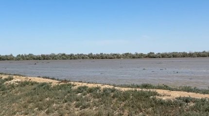 На дамбах в Атырауской области усилена безопасность из-за сильного ветра