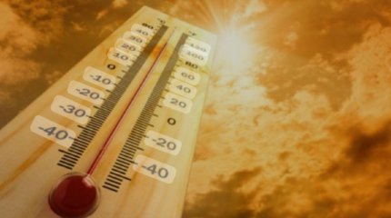 43 градус ыстық болады