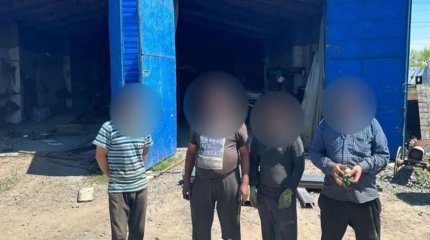 Павлодар облысында 80-нен астам шетелдік заңсыз жұмыс істеген