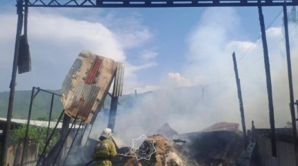 Сено и 4 тонны кормовой кукурузы загорелось в Алматинской области