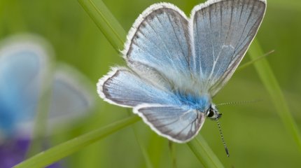 Спад жары с дождями обещают синоптики в первой декаде июля