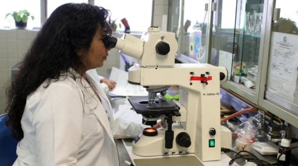 Сексологическую экспертизу начнут проводить в Казахстане