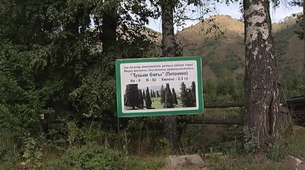 Орман және табиғатты қорғау қызметкерлерінің жалақысы көбейді