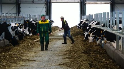 Биыл алғаш рет  елімізде ветеринария қызметкерлерінің күні аталып өтілуде