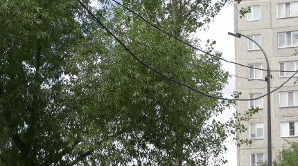 Прогулки под напряжением: высоковольтный провод "проходит" над детской площадкой в Павлодаре
