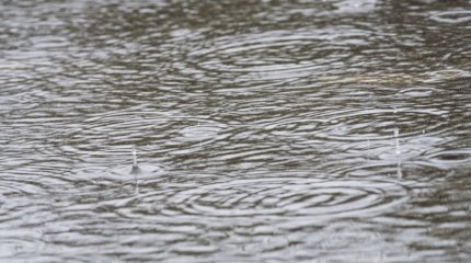 Сильные дожди прогнозируют в Алматы и Алматинской области