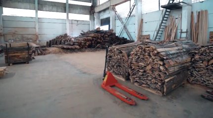 МВД задержали директора филиала "Семей орманы"