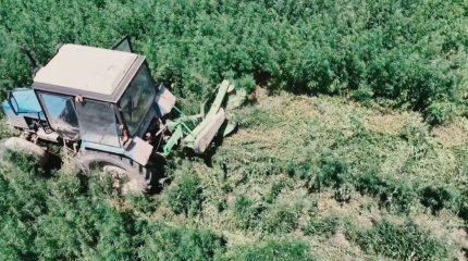 Почти 13 тонн наркотиков изъяли в Казахстане с начала лета