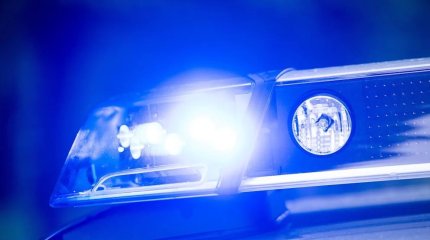 Мужчина с мачете ранил пять человек в Швейцарии