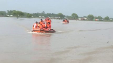 Аргентинада қалың қар жауып, шаруалар зардап шекті