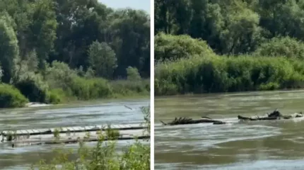 Павлодар облысында понтон көпірі суға батып кетті