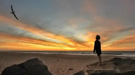 Балқашта жоғалып кеткен төрт жасар бала жаяу-жалпы алты шақырым жол жүрген