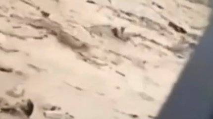 “Тамызда ұзатылады”: Селде қыздарымен ағып бара жатқан әйелдің видеосы тарады