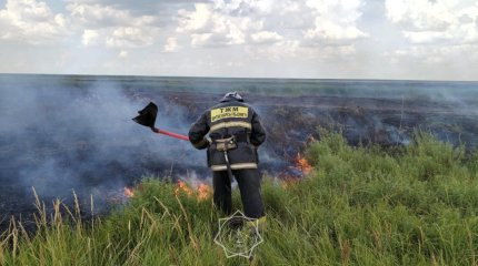 Два гектара камыша сгорело в Акмолинской области