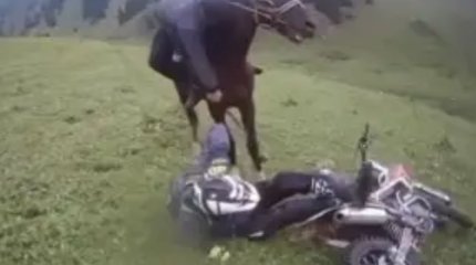 Алматы тауларында байкерлерге мылтық кезеп, қамшымен сабағандар ұсталды