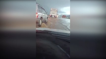 Жамбыл облысында қатты желден 3 адам ауруханаға түсті