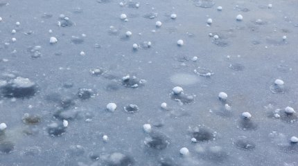 Непогода в Европе: град частично побил посевы и повредил крыши домов