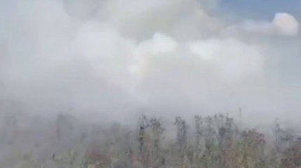 Астанада Талдыкөл аймағында құрғақ шөп пен қамыс өртеніп жатыр