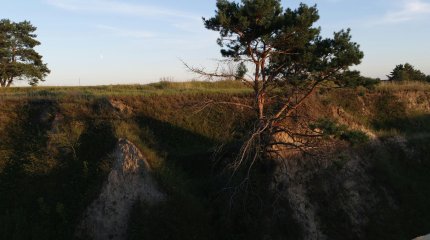 Более 150 человек погибли под оползнями в Эфиопии