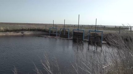 Паводки в Западном Казахстане частично решили проблему дефицита воды