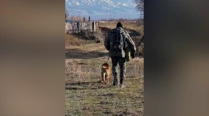 Алматы облысында 4 ай бұрын жоғалып кеткен бүлдіршін өлі табылды
