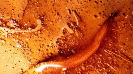 Масло во фритюрнице загорелось в кафе Семея