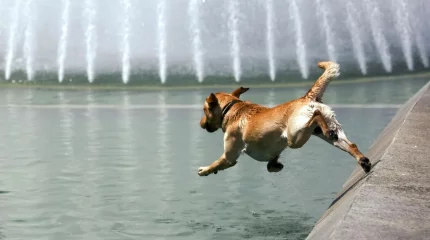 Сильную жару обещают на большей части Казахстана 26 июля