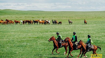 В преддверии Всемирных игр кочевников пройдёт международный марафон-байге