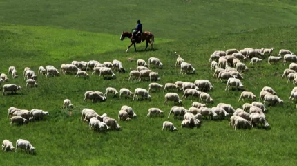 Почти 11 миллионов гектаров земли вернули государству за два года работы комиссии «Жер аманаты»