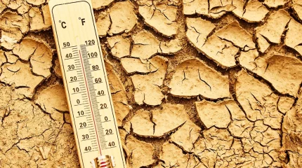 Тамыздың басында 41 градус аптап ыстық болады