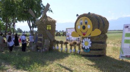 "Біздің есебіміз бойынша суды пайдалануды екі есеге азайтуға болады", - ғалым