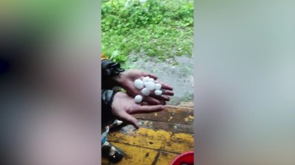 Мощный град уничтожил огороды  дачников в  Усть-Каменогорске