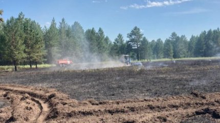 Павлодар облысында орман өртенді