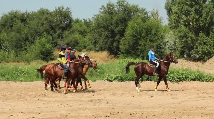 Дүниежүзілік көшпенділер ойындарына көкпаршылар қызу дайындалуда