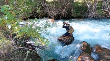 Селфи жасаймын деп ажал құшты