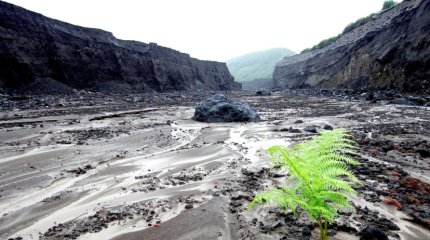 Высокую селевую опасность объявили в Алматы