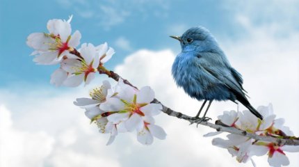 Прогноз погоды в мегаполисах страны 5 июля