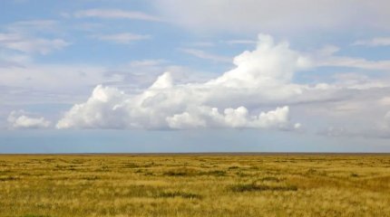 Ақтөбе облысында 22 мың гектардан астам жер мемлекетке қайтарылды