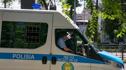 Алматы облысында ұлы әкесін балтамен ұрып өлтірді