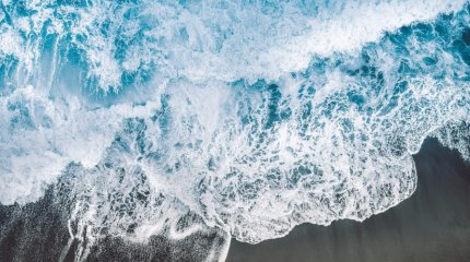 «Море находится на грани исчезновения», - Токаев о Каспии