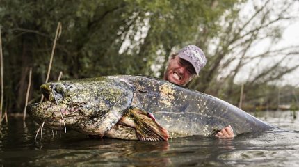 Чешский рыбак поймал сома весом более 130 кг